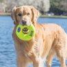 Kong Air Dog Squeaker Donut