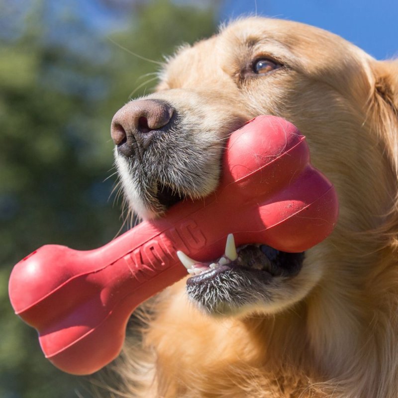 Kong Goodie Bone Medium