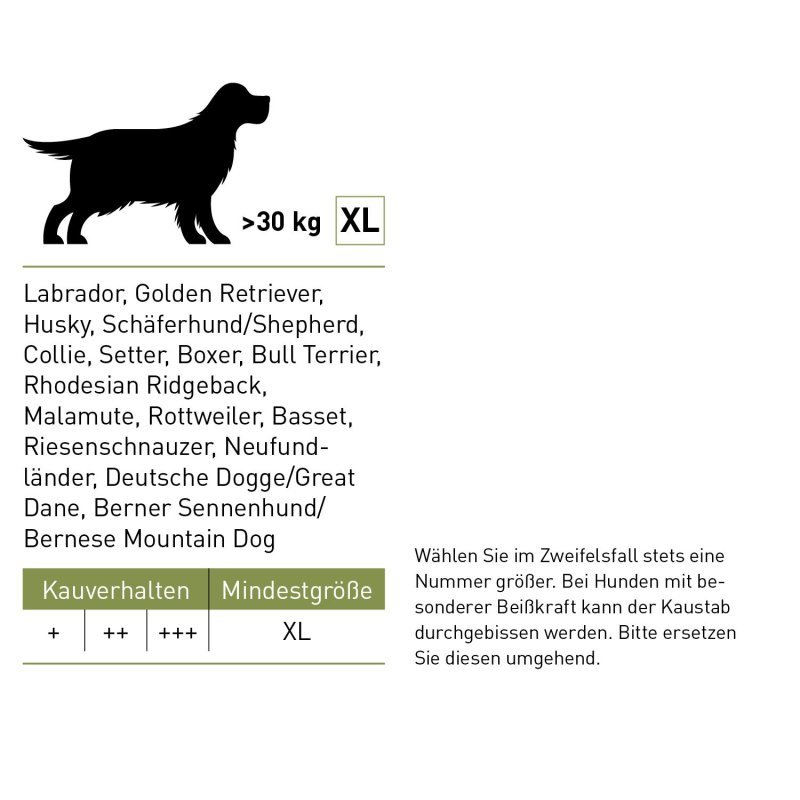 Chewies Legno di ulivo XL - snack cane