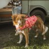 Hurtta Life Savior Eco Coral 0-5Kg salvagente per cani