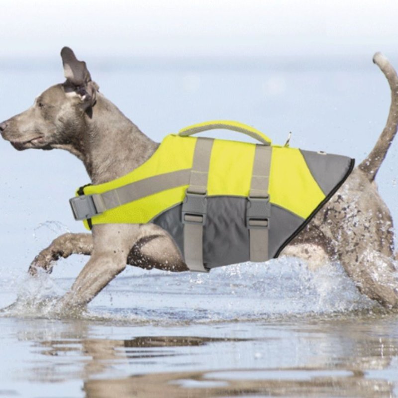 Camon Giubbotto di salvataggio - salvagente per cani