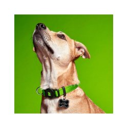 Myfamily Collare Memopet per cani con tecnologia NFC