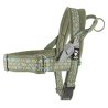 Hurtta Pettorina Razzle Dazzle Nordic Verde Siepe