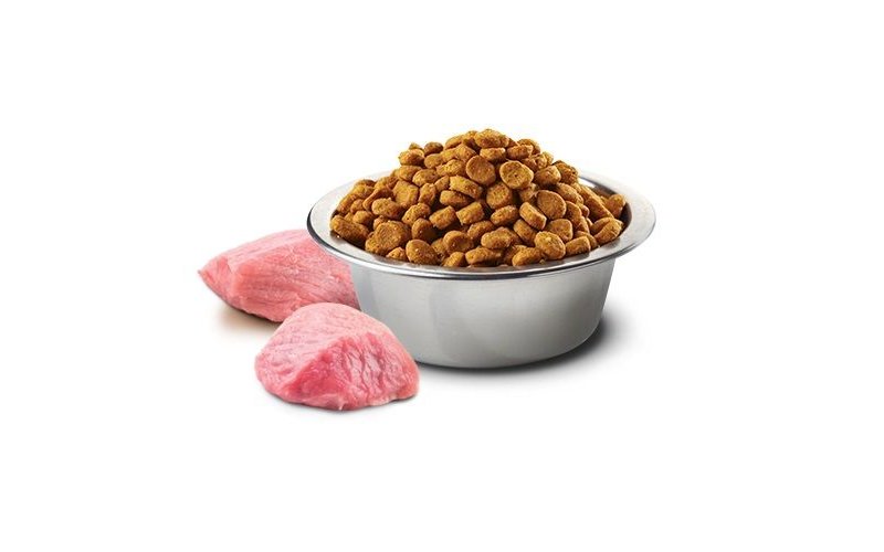 N&D Adult Agnello e Mirtillo Medium Maxi 12kg grain free crocchette cane