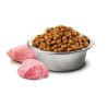 N&D Adult Agnello e Mirtillo Medium Maxi 12kg grain free crocchette cane