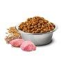 N&D Puppy Pollo e Melograno Medium Maxi 12kg ancestral crocchette cucciolo