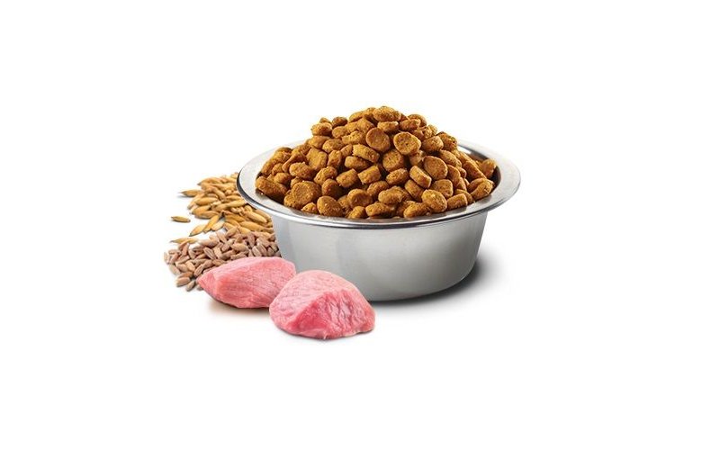 N&D Light Pollo e Melograno Adult Medium Maxi ancestral crocchette cane