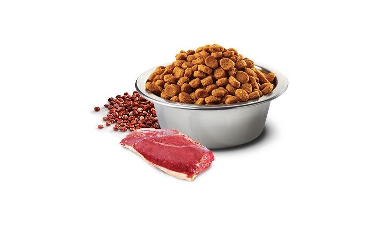 N&D Adult Anatra e Quinoa Neutered Medium Maxi 12kg grain free crocchette cane