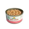 Almo Nature HFC Jelly Salmone 70g