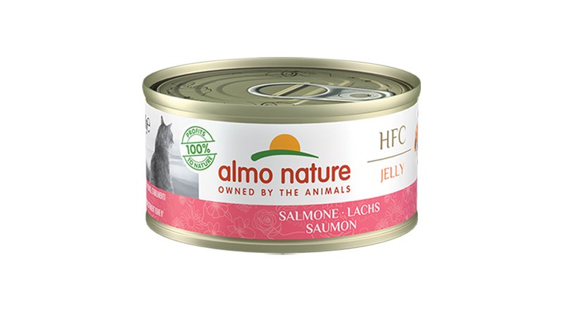 Almo Nature HFC Jelly Salmone 70g