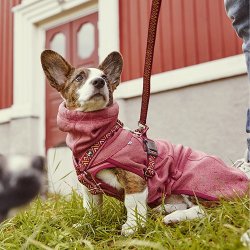 Hurtta Razzle Dazzle Midlayer giacca invernale per cani