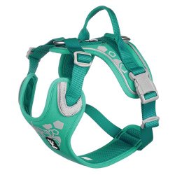 Hurtta Pettorina W/E Warrior Verde Peacock Certificato Ufficiale Hurtta Italia
