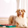 Nina Ottosson DogBrick Blu gioco attivazione mentale cane