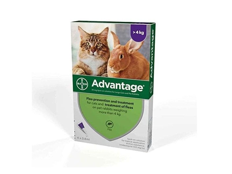 Advantage 40 Gatti fino a 4 Kg 4 pipette pulci e zecche Advantage 40 Gatti fino a 4 Kg 4 pipette pulci e zecche