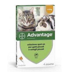 Advantage 80 Gatti oltre 4 Kg 4 pipette pulci e zecche