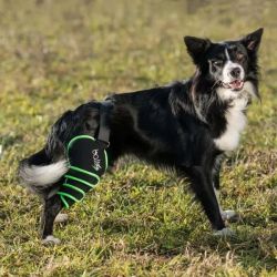 Balto Sport Agile fascia per ginocchio del cane