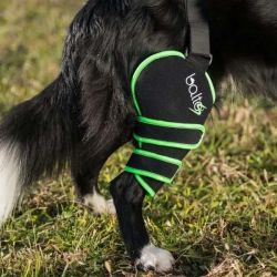 Balto Sport Agile fascia per ginocchio del cane