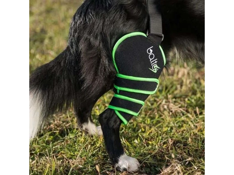 Balto Sport Agile fascia per ginocchio del cane