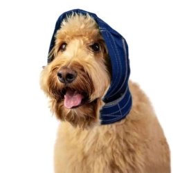 Balto No Flap Protect supporto protettivo per le orecchie del cane