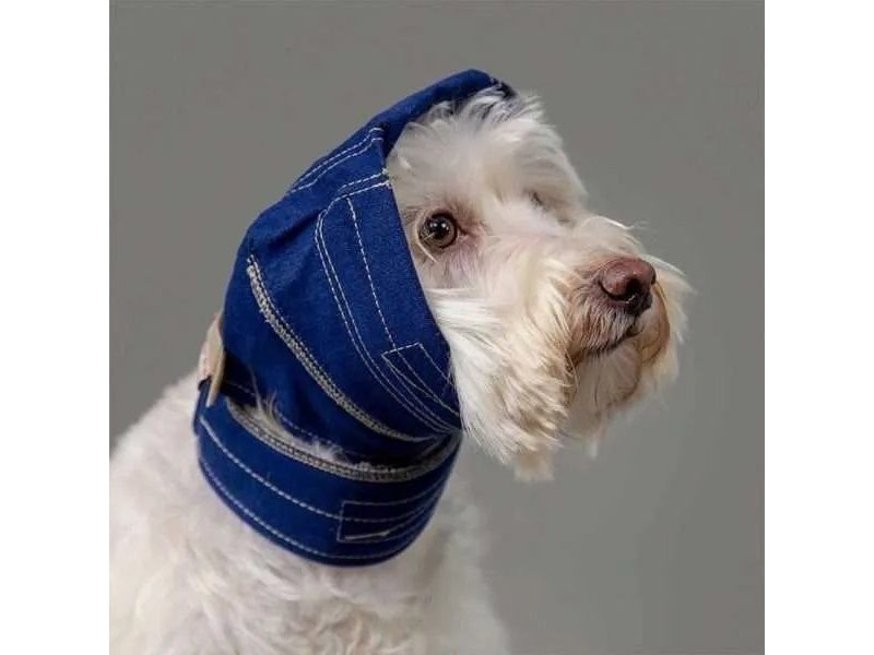 Balto No Flap Protect supporto protettivo per le orecchie del cane