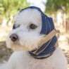 Balto No Flap Protect supporto protettivo per le orecchie del cane