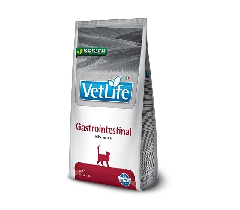 Vet Life Farmina Gastrointestinal crocchette dietetiche gatto Vet Life Farmina Gastrointestinal crocchette dietetiche gatto
