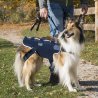 Balto BT Body Lift corpetto integrale con maniglia per cane