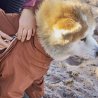 Hurtta Tuta Mudventure Eco tuta termica invernale per cane