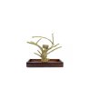 ZOOFARIA  Java Playstand Small trespolo in legno