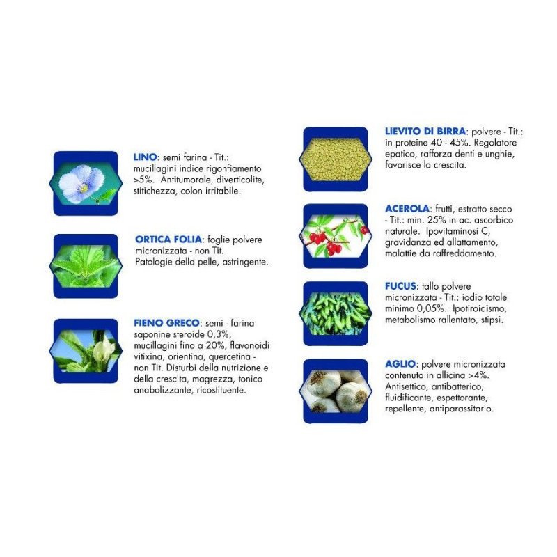 Vet Line Adulti Pesce e Patate 400g umido cane