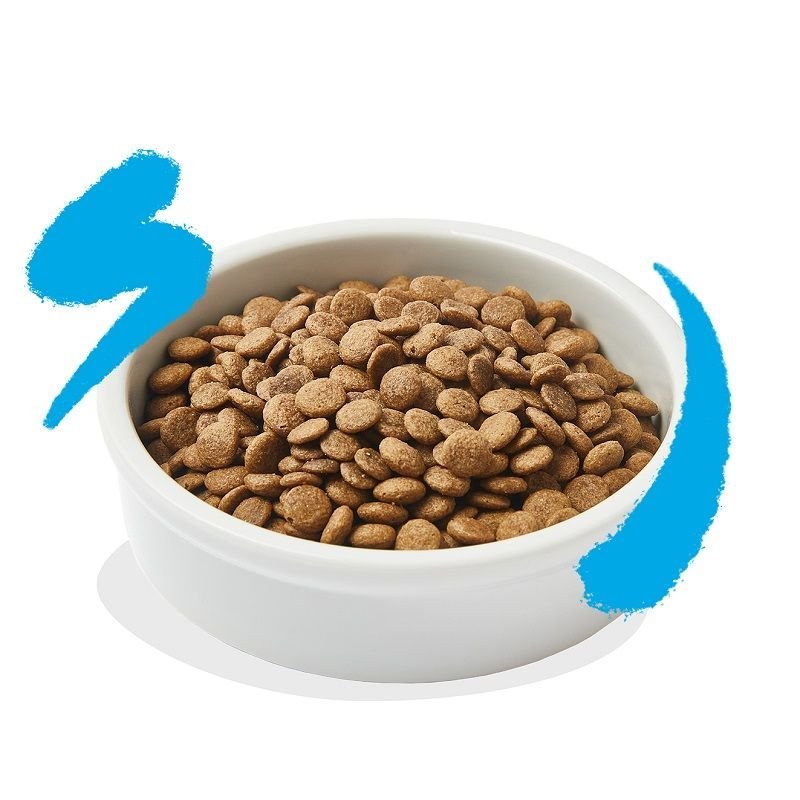 Edgard&Cooper Salmone fresco crocchette gatto