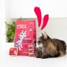 Edgard&Cooper Senior Pollo e Tacchino crocchette gatto Edgard&Cooper Senior Pollo e Tacchino crocchette gatto