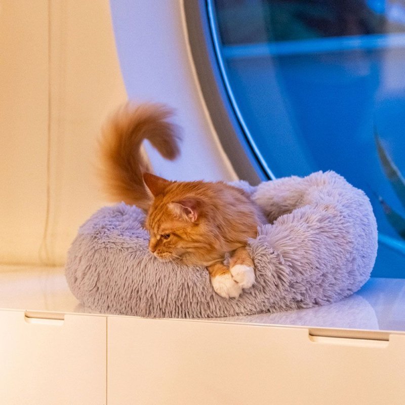 Ferplast Cuddly cuscino grigio per cani e gatti in cotone e peluche