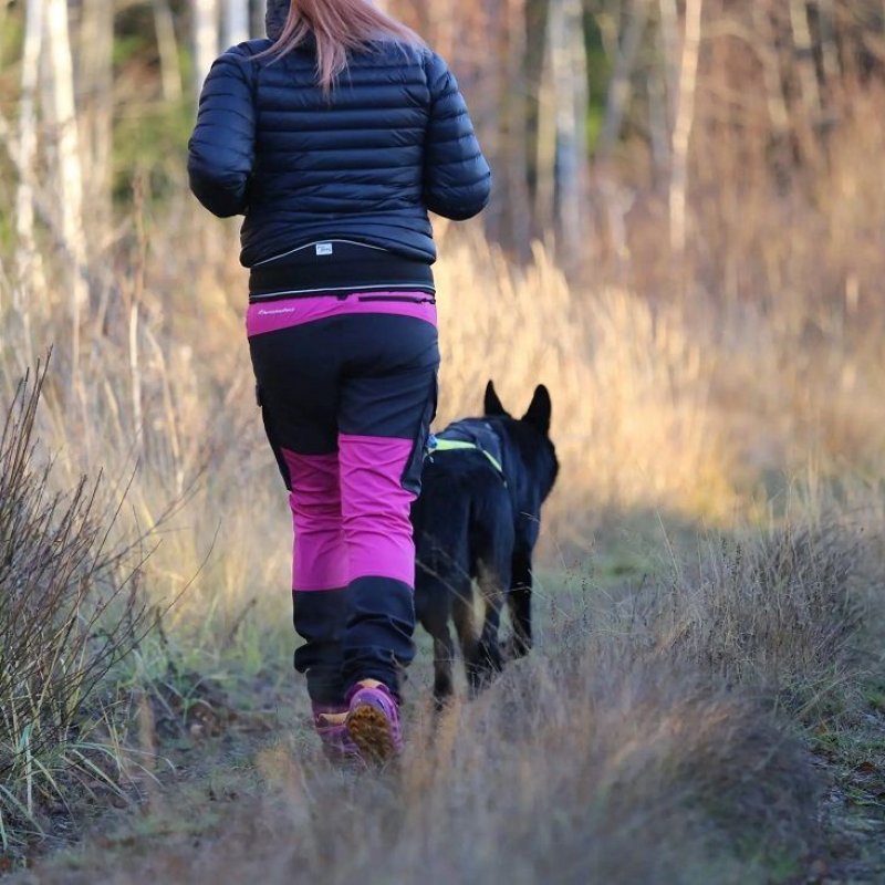 Axaeco Cintura dog trekking