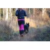 Axaeco Cintura dog trekking