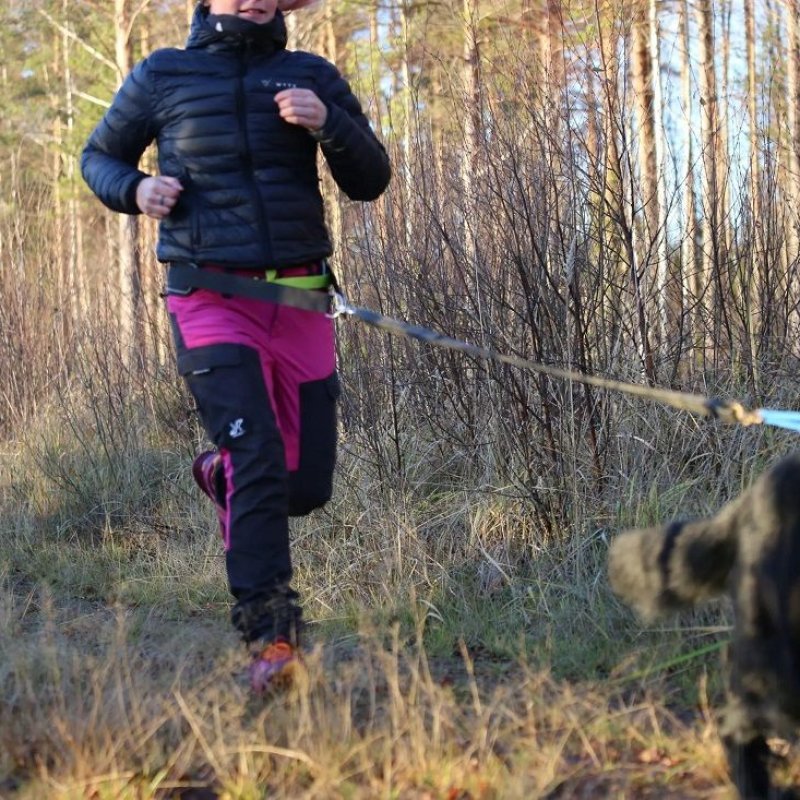 Axaeco Cintura dog trekking