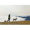 Axaeco Explorer Belt cintura per dog trekking