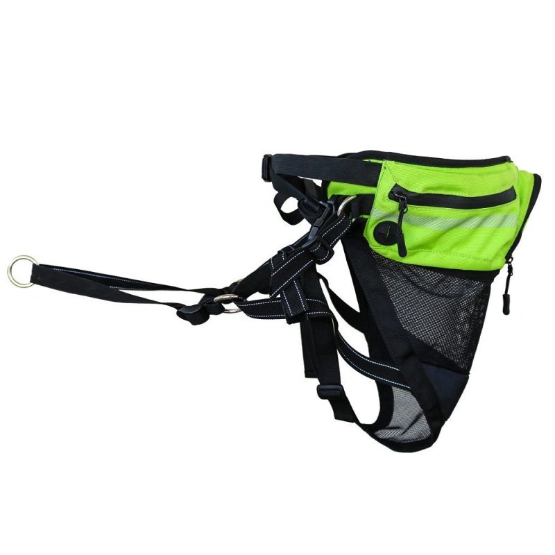 Axaeco Explorer Belt cintura per dog trekking