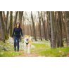 Axaeco Explorer Belt cintura per dog trekking