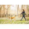 Axaeco Explorer Belt cintura per dog trekking