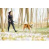 Axaeco Explorer Belt cintura per dog trekking