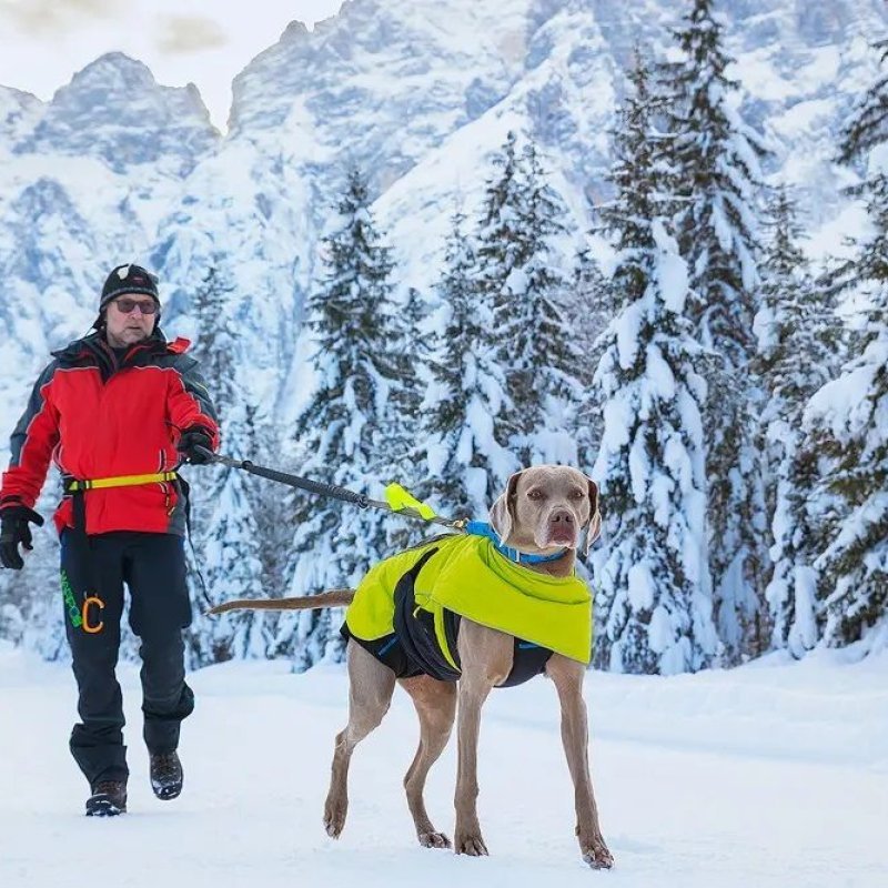 Axaeco 4 Season Jogging Leash guinzaglio da jogging