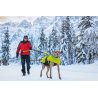 Axaeco 4 Season Jogging Leash guinzaglio da jogging