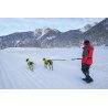 Axaeco 4 Season Jogging Leash guinzaglio da jogging