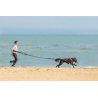 Axaeco 4 Season Jogging Leash guinzaglio da jogging