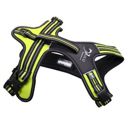 Axaeco 4 Season Power Harness pettorina svedese