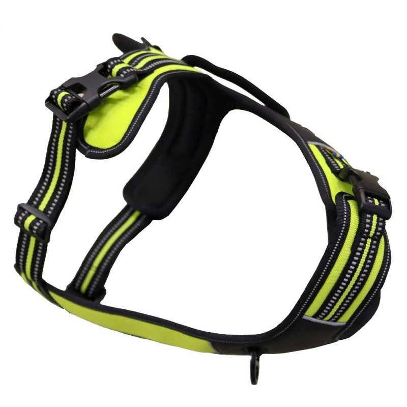 Axaeco 4 Season Power Harness pettorina svedese