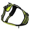 Axaeco 4 Season Power Harness pettorina svedese