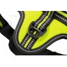 Axaeco 4 Season Power Harness pettorina svedese