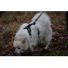 Axaeco 4 Season Power Harness pettorina svedese